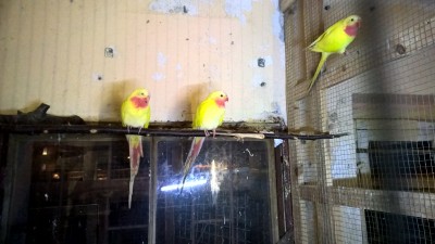 WP_20161119_17_04_42_Pro.jpg