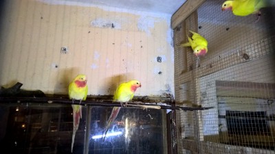 WP_20161119_17_04_00_Pro.jpg
