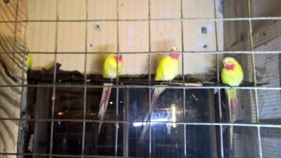 WP_20161119_17_01_49_Pro.jpg