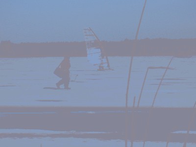 P1000554.JPG