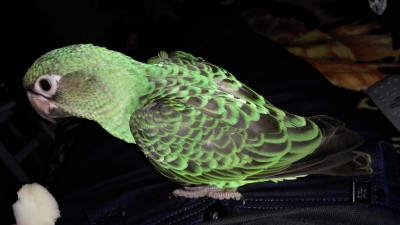 IMG_20170311_202755.jpg
