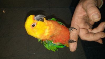 20161113_135129.jpg