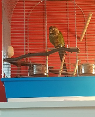 20170920_152236.jpg