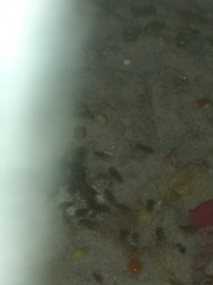 IMG_20180203_131525.jpg