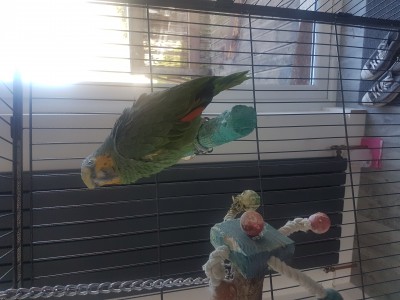 20180215_125915.jpg