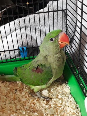 Resized_20180422_112405_3480.jpeg