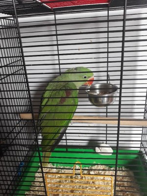 Resized_20180428_090403_9777.jpeg