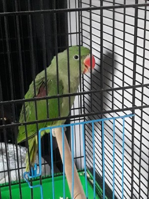 Resized_20180426_193708_455.jpeg