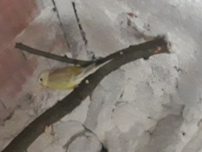 20180717_090202.jpg