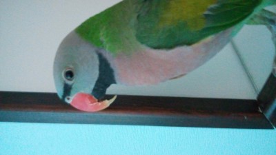 20180724_170832.jpg
