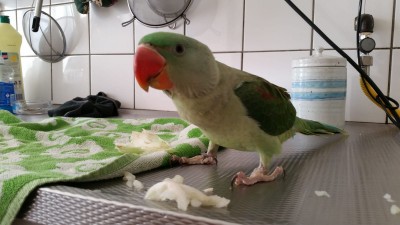 IMG-20180803-WA0000.jpg