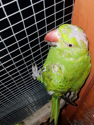 20180824_214044-1512x2016.jpg