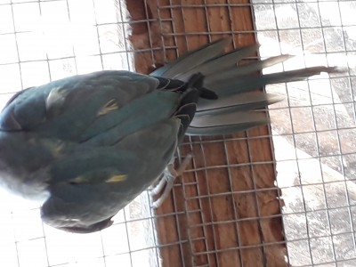20181107_115114.jpg