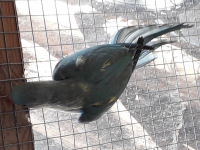 20181107_115111.jpg