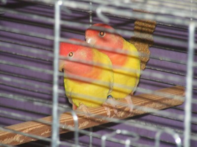 DSCF0167.JPG