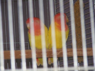 DSCF0169.JPG