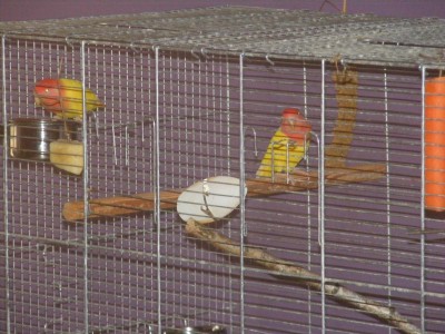 DSCF0174.JPG