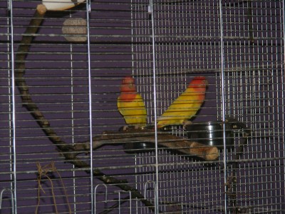 DSCF0190.JPG