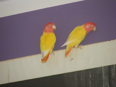 DSCF0198.JPG