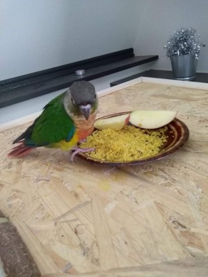 received_373346413516659.jpeg
