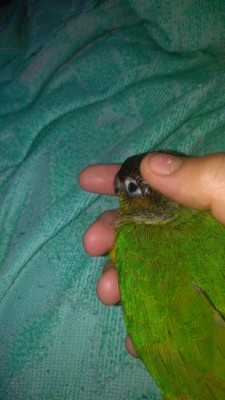 IMG-20190405-WA0001.jpeg