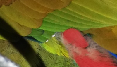 IMG_20190411_192703.jpg