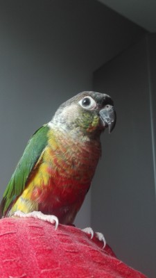 IMG-20190520-WA0006.jpeg