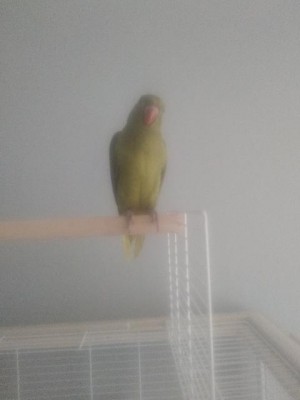 rps20190627_142242.jpg