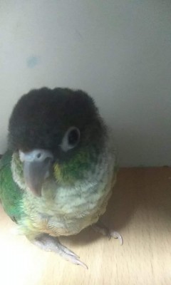 received_348530592714052.jpeg