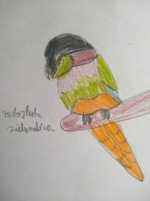 rudosterka.jpg