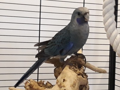 20190818_171604.jpg