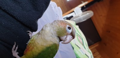 20191109_075946.jpg