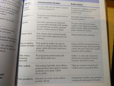 książka.jpg