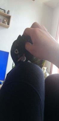 IMG-20200403-WA0010.jpeg