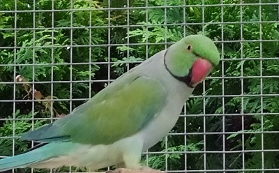 IMG_20190906_020027.jpg