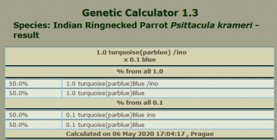 Screenshot_2020-05-06 Genetic Calculator 1 3 Indian Ringnecked Parrot.png