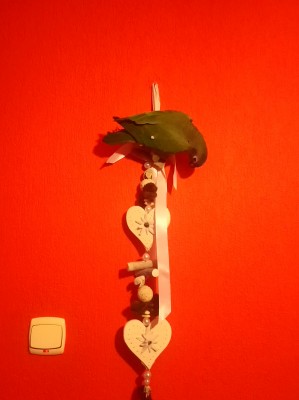 _20200530_102102.JPG