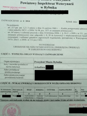 IMG_20210220_210613.jpg