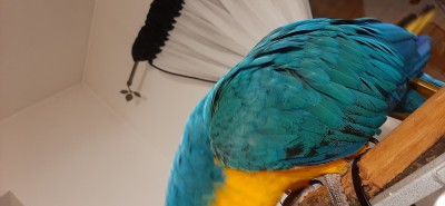 20210503_024921.jpg