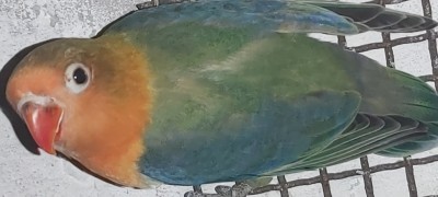 20211107_175440.jpg