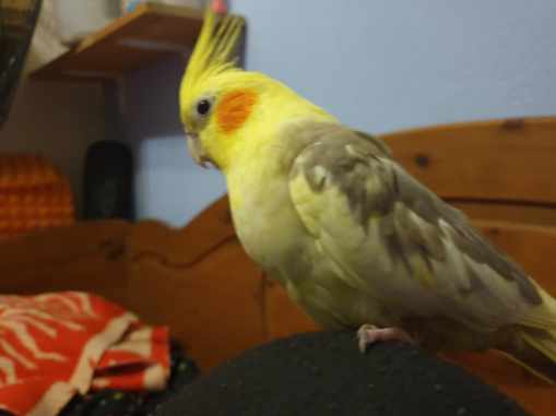 779F2150-A505-4E1D-87D3-F264E17D763D.jpeg