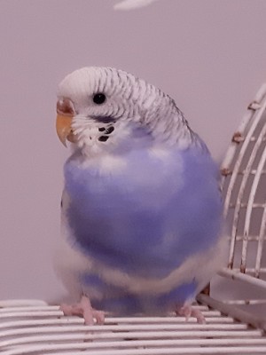 20220221_185224.jpg