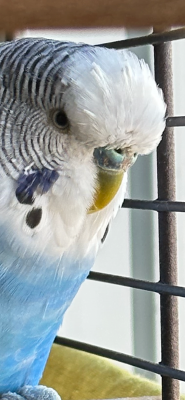 36F5DF09-6966-4560-8EE0-C59EAF2B62AB.png