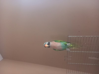 20230319_095830.jpg