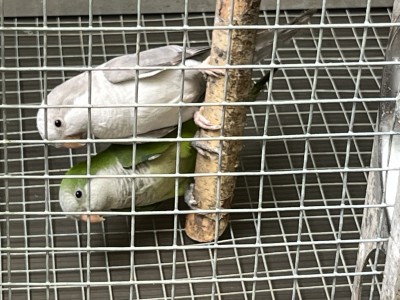 IMG_3978.jpeg
