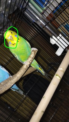 IMG_20251103_125855922 (1).jpg